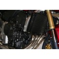 R&G Racing Crash Protectors for Honda Hornet 600 '07-'19, CBF600 '08-'16